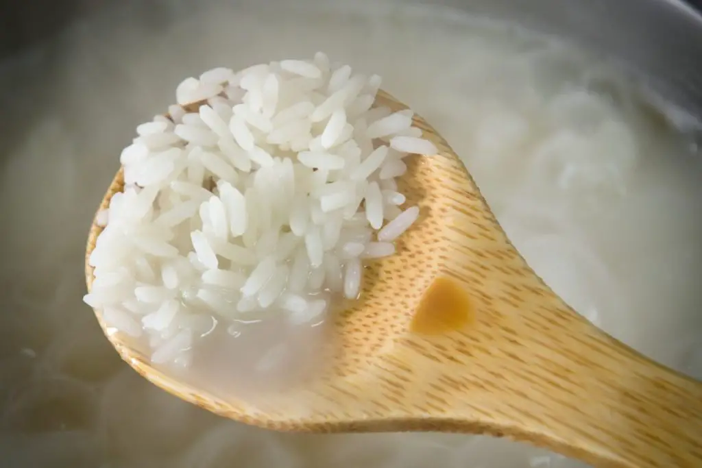 boiled rice 