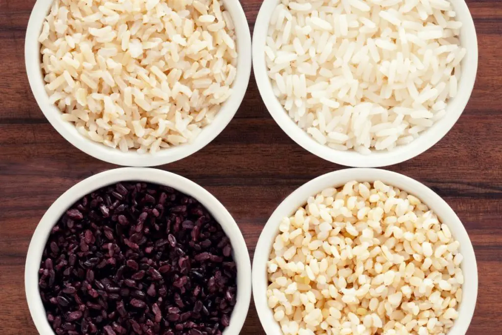 different varieties of rice