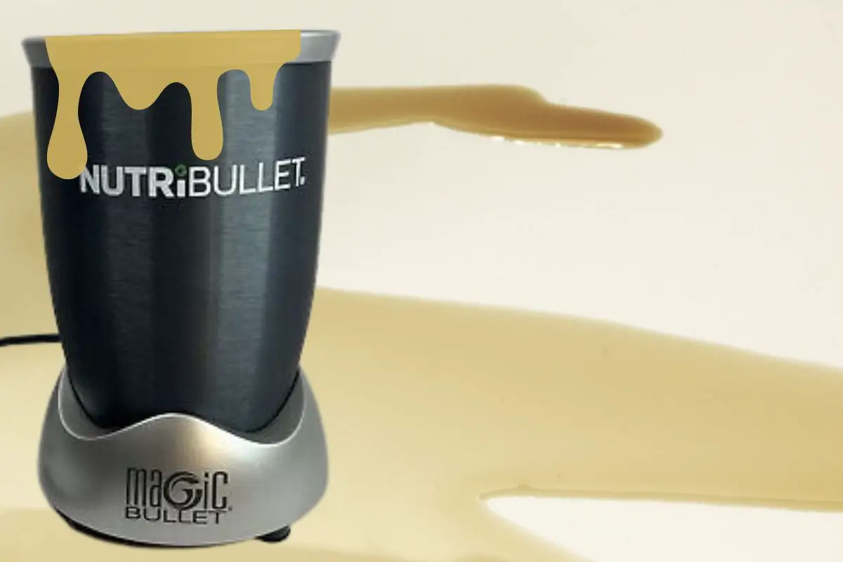 Why My NutriBullet Stopped Working? (8 Common Reasons)