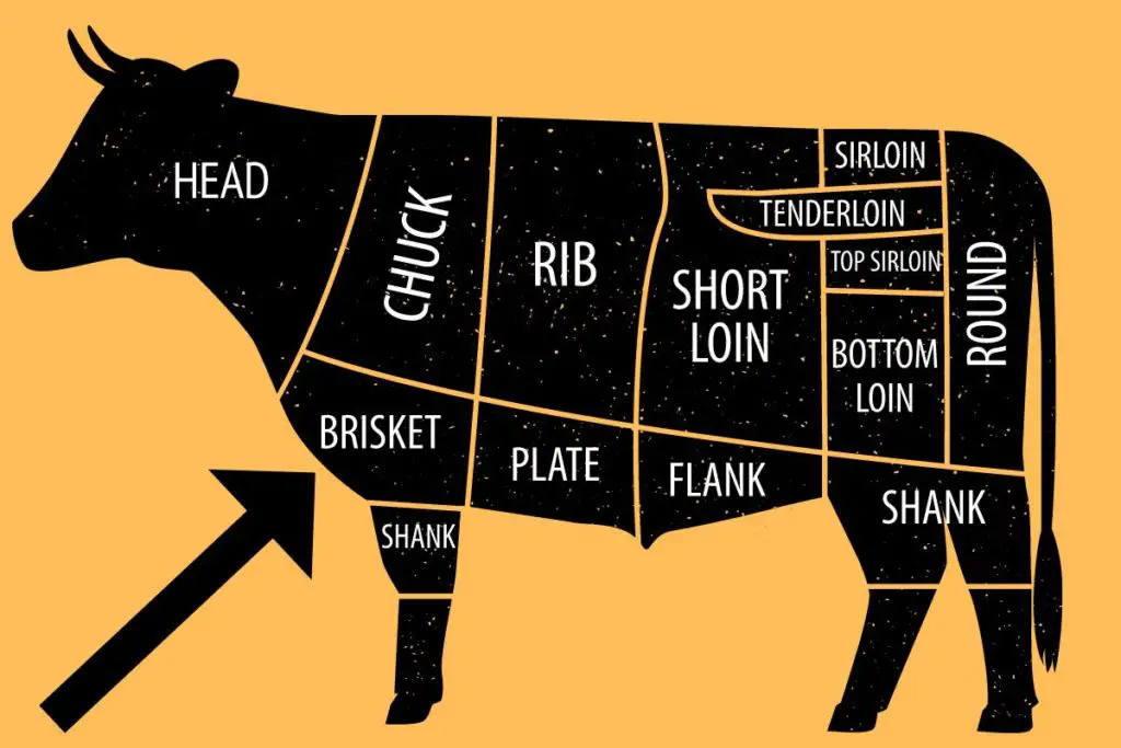 beef cuts diagram