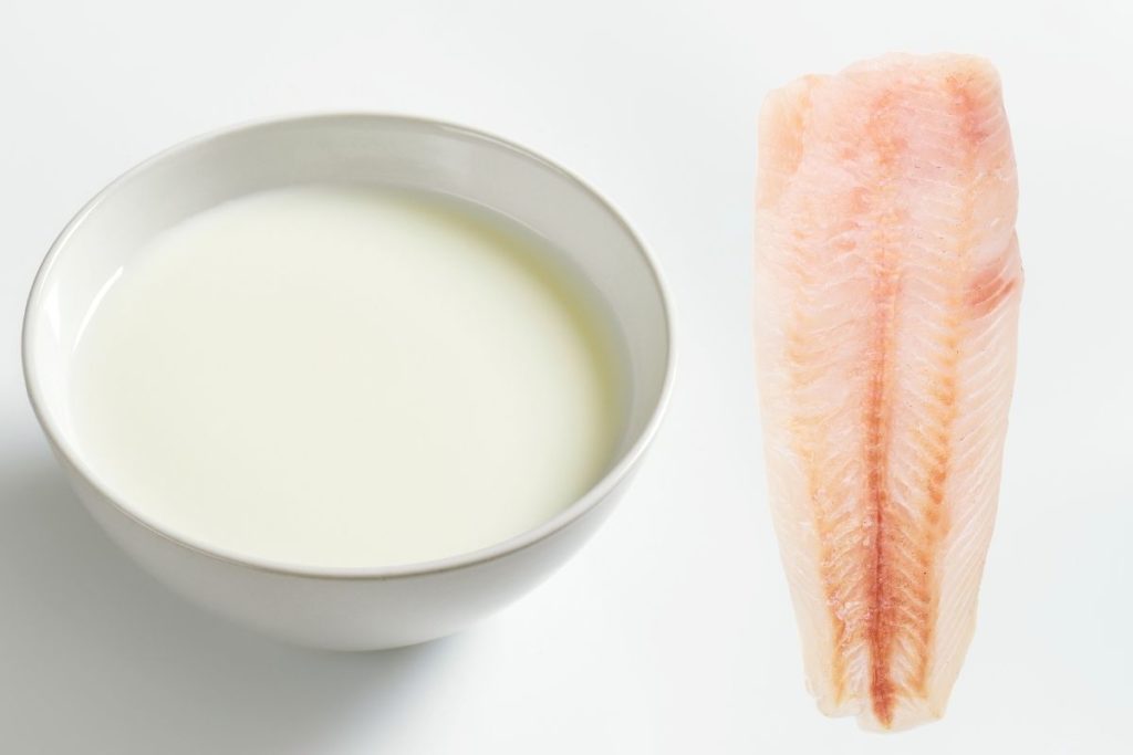 Soaking fish in the milk to combat fishiness