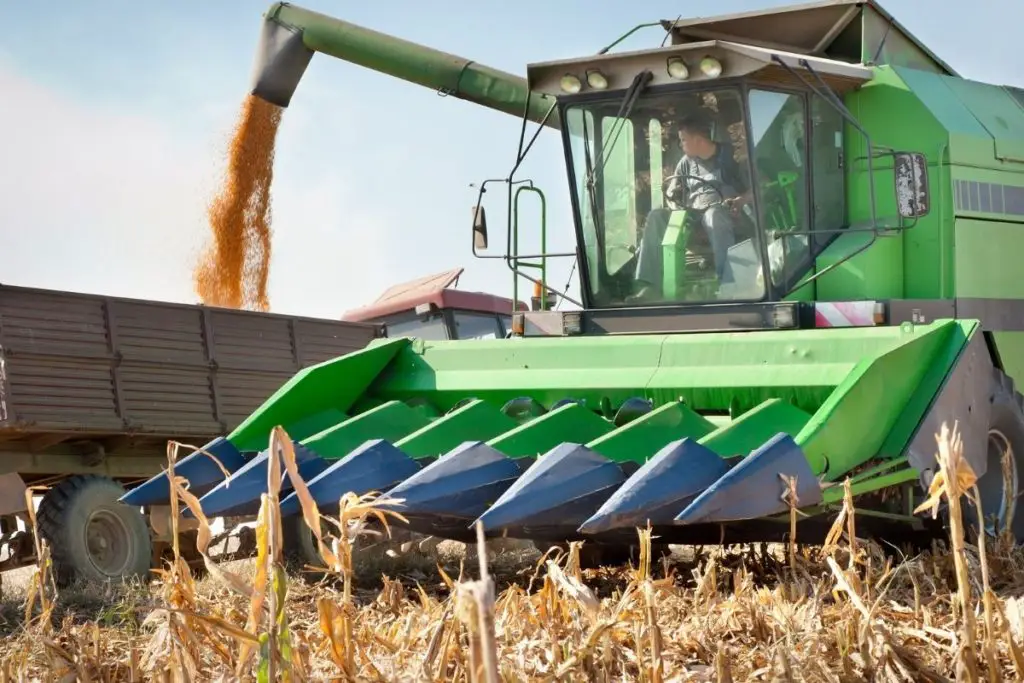 harvesting crops