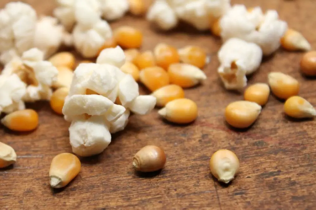 stale popcorn kernels that don't pop