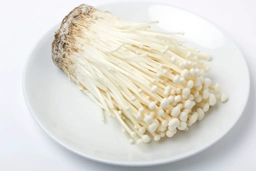 uncooked enoki mushrooms 