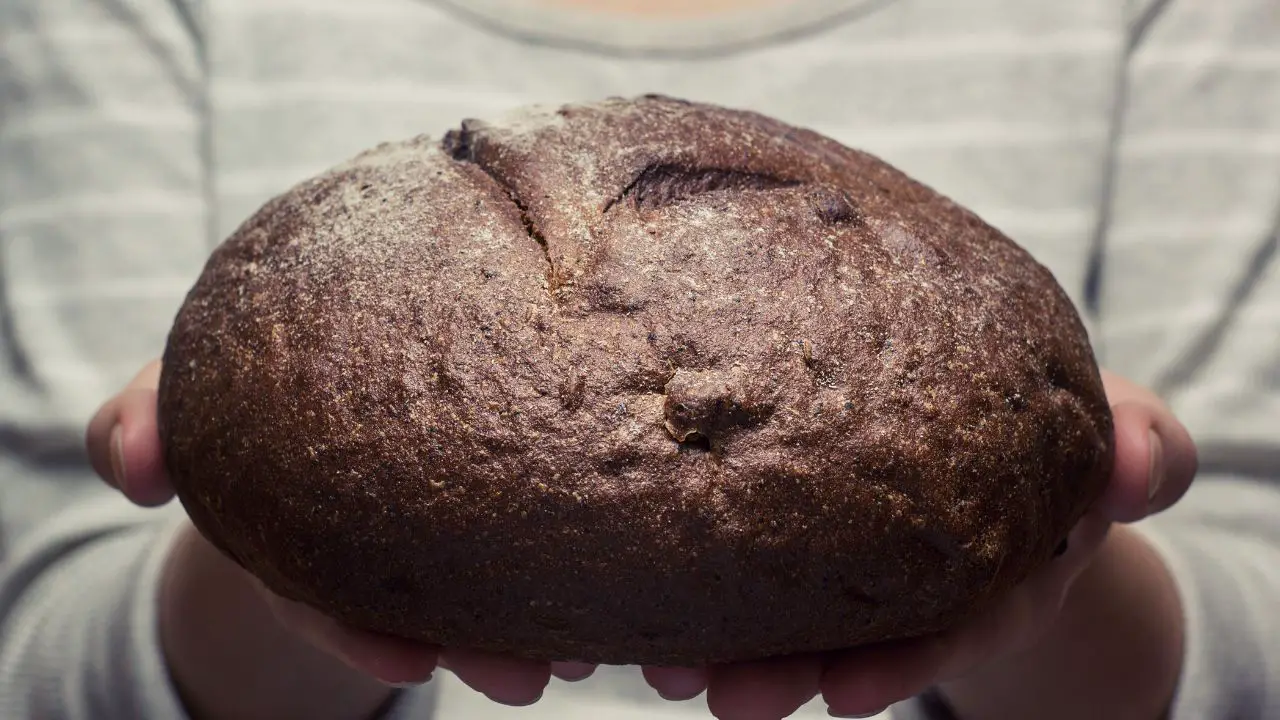 beginners rye bread recipe
