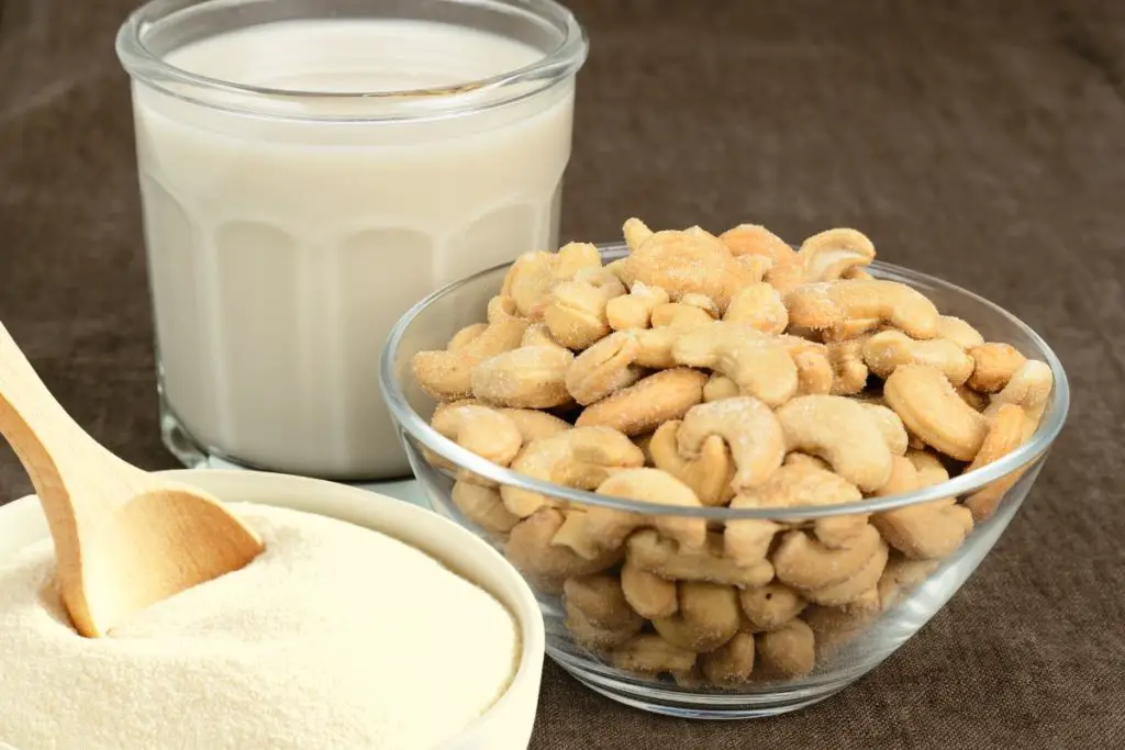 cashew milk powder 