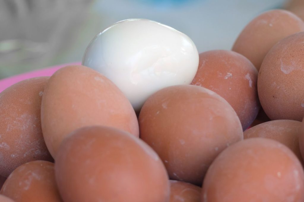 storing peeled and unpeeled eggs 