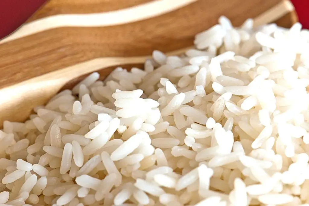 regular white rice