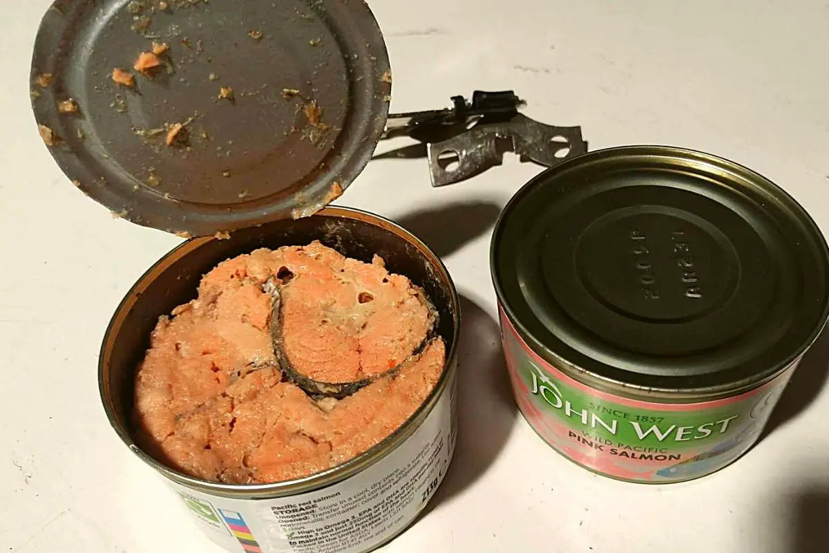 can-you-eat-the-bones-in-canned-salmon-yes-but-should-you