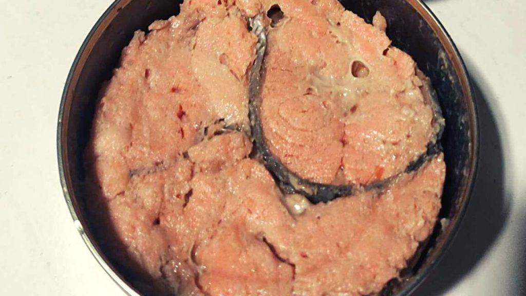 bones in canned salmon