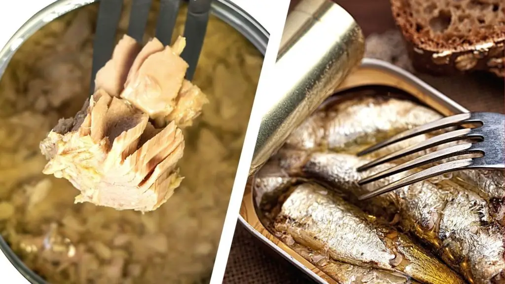 comparing the taste and texture of canned and sardines 