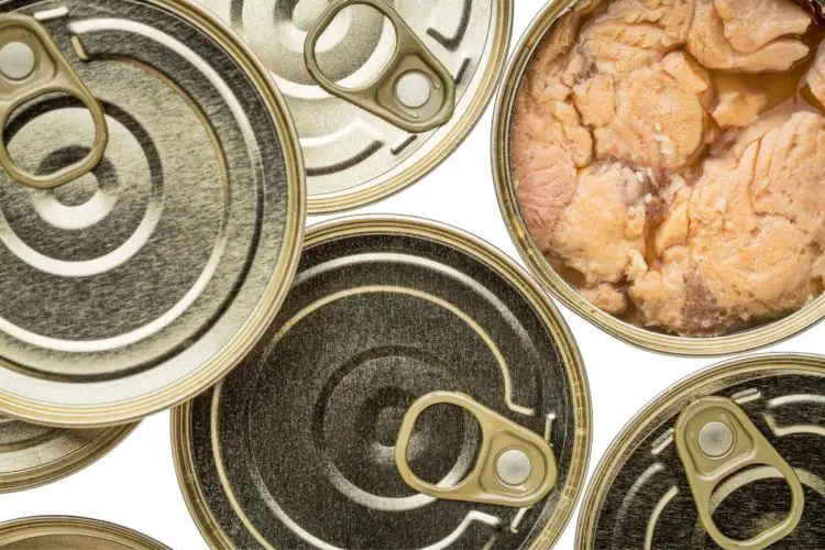 Can You Eat The Bones In Canned Salmon? Yes, But Should You?