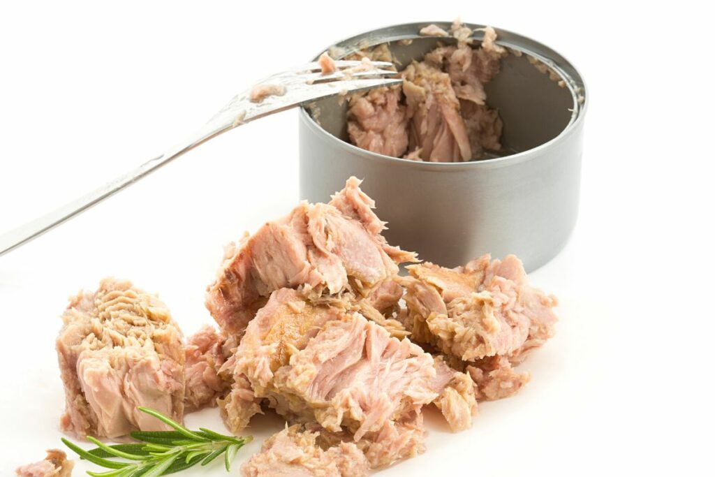 preparing canned tuna for sushi