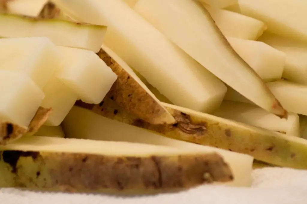 raw homemade french fries