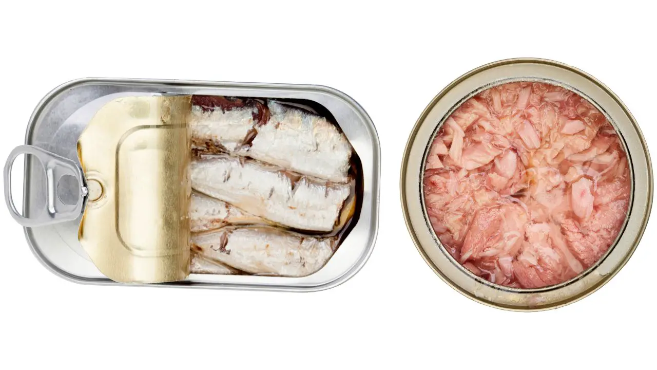 tuna vs sardines