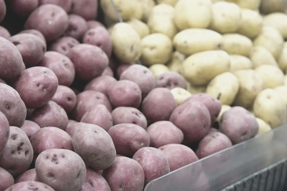 How Many Potatoes For Mashed Potatoes Per Person Easy Scalable Formula how-many-potatoes-for-mashed-potatoes-per-person-easy-scalable-formula