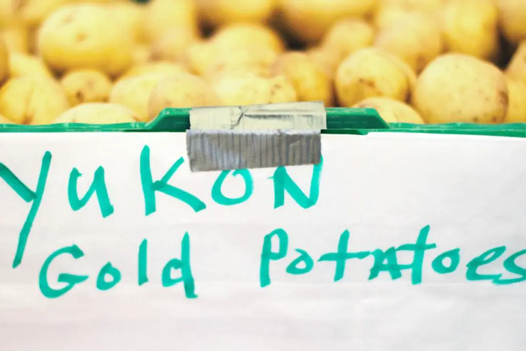 Yukon Gold potatoes