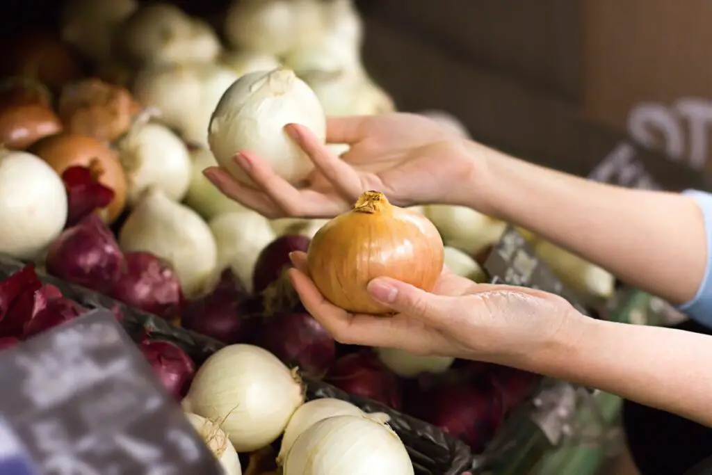 best onions for cooking