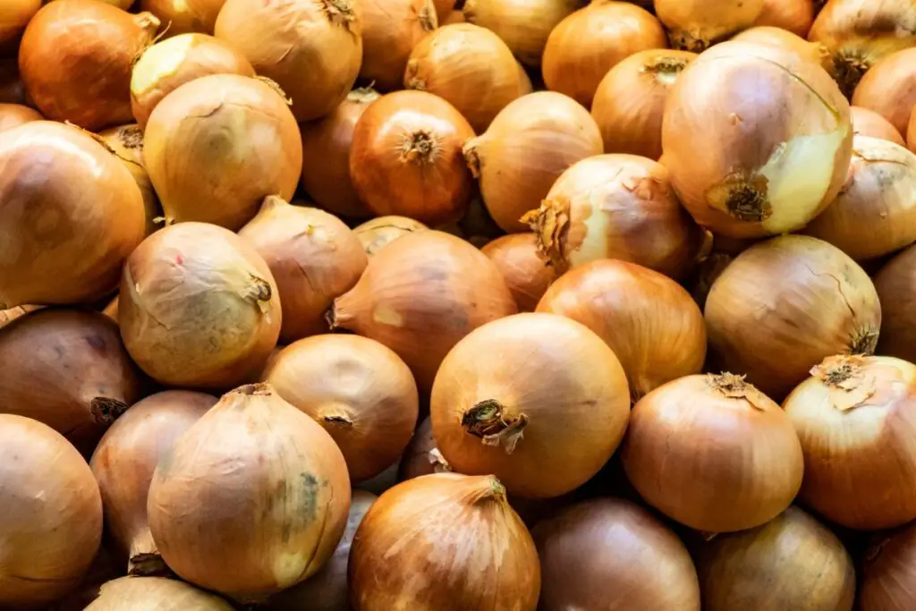 choosing yellow onions at the grocery store