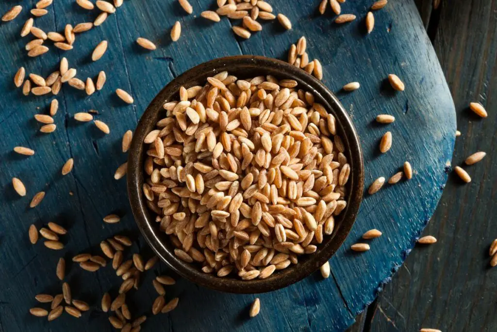 farro grain