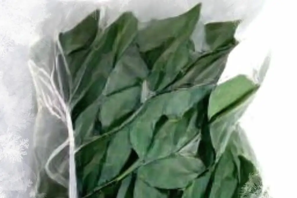frozen curry leaves