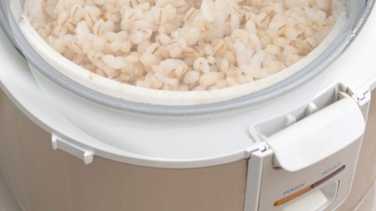 cooking barley in rice cooker