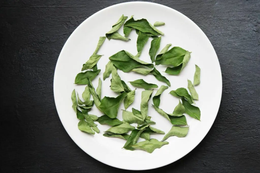 dried curry leaves on the microwave safe plate 