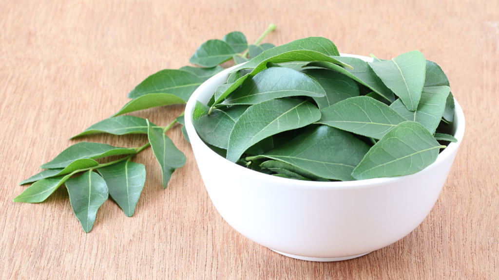 storing fresh curry leaves