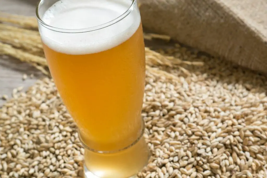 malt grain drink