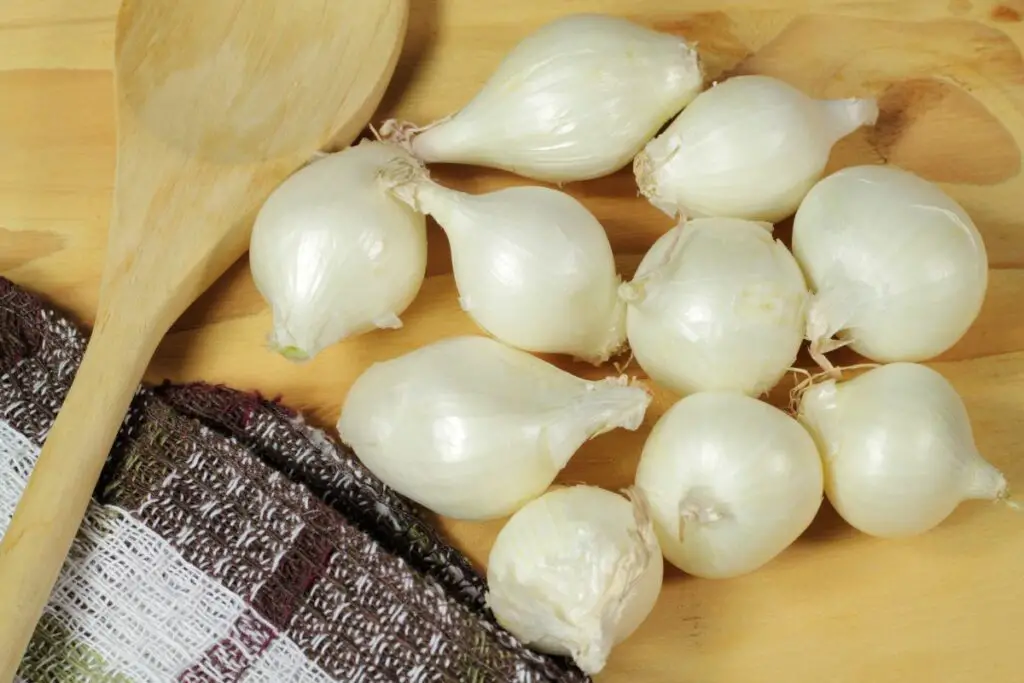 pearl onion also known as button, baby or silverskin onions