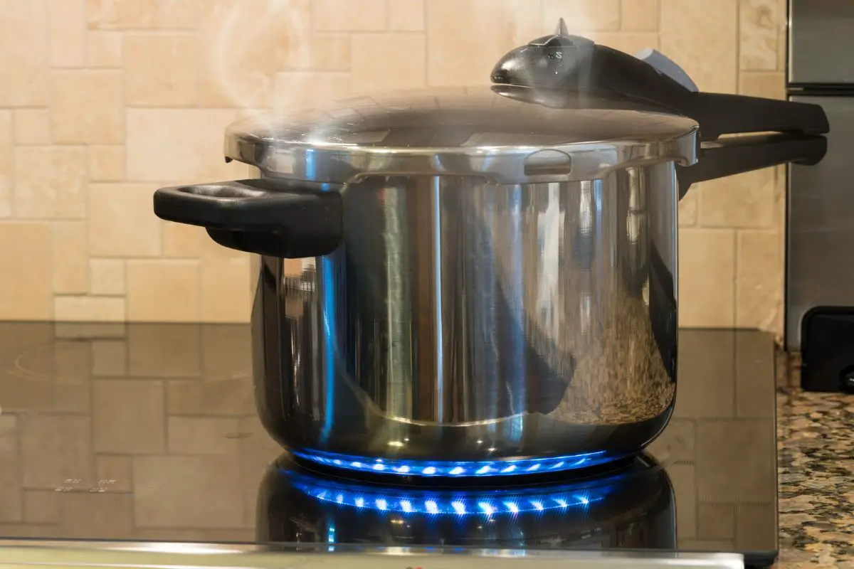 How To Stop Pressure Cooker From Burning On The Bottom (11 Mistakes And How To Fix Them)