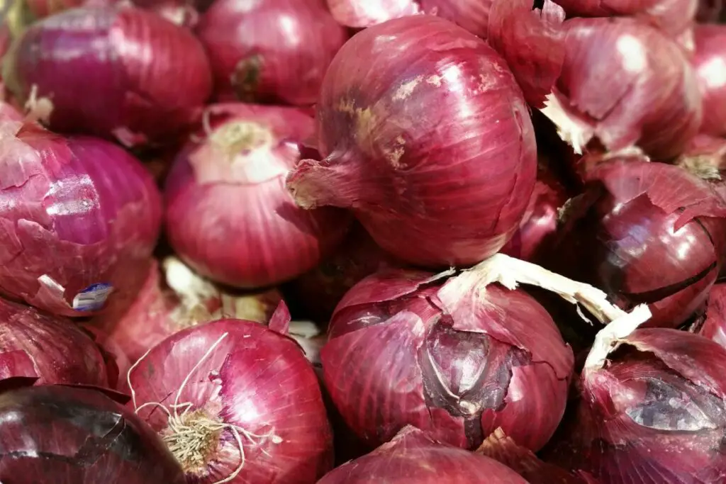 red onions 