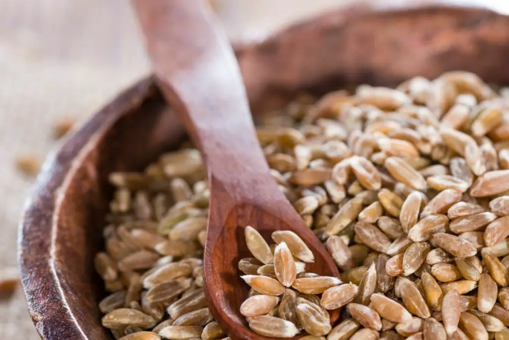 Spelt, a gluten-containing grain