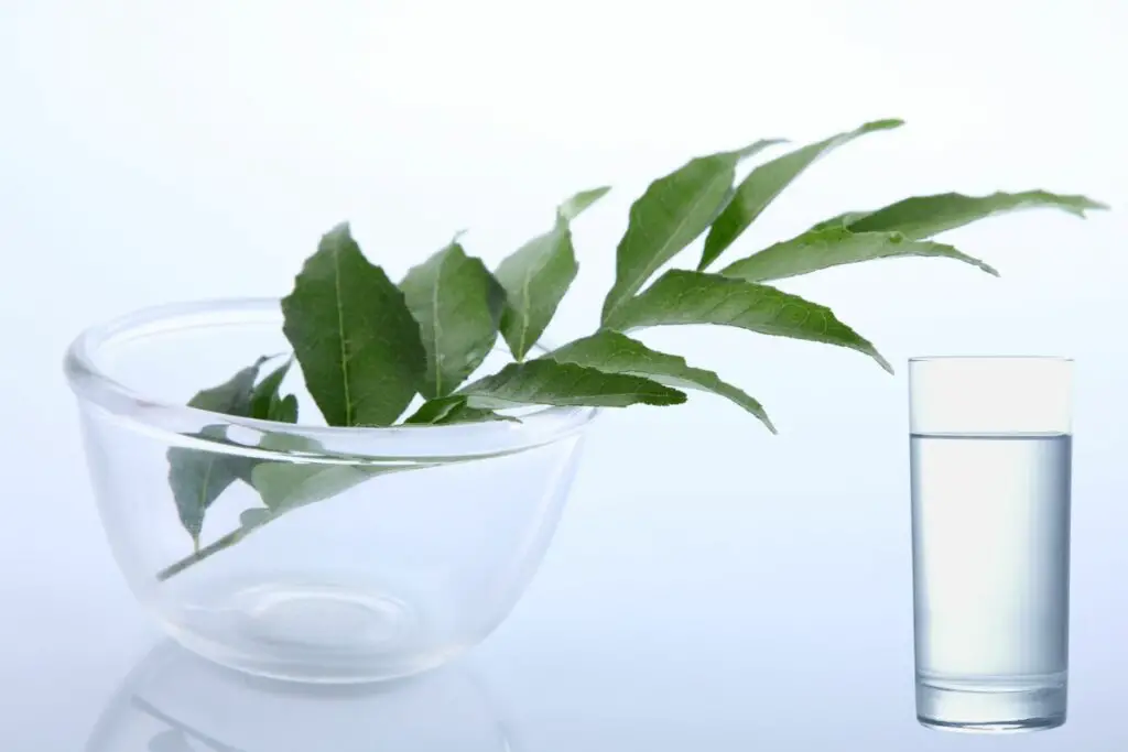 storing curry leaves in water on kitchen countertop