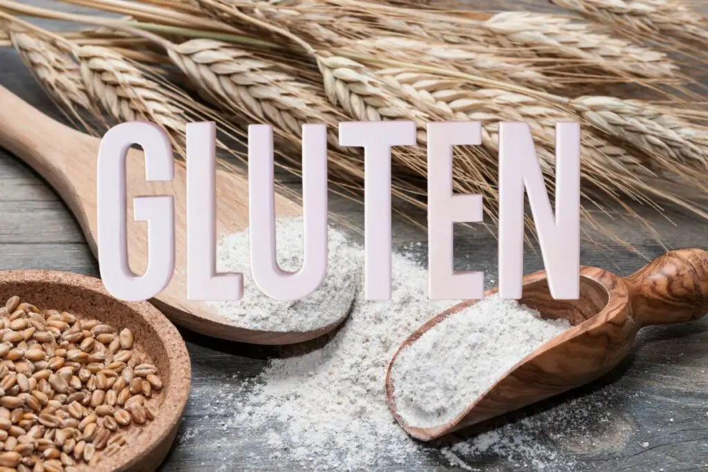 wheat is a high gluten grain