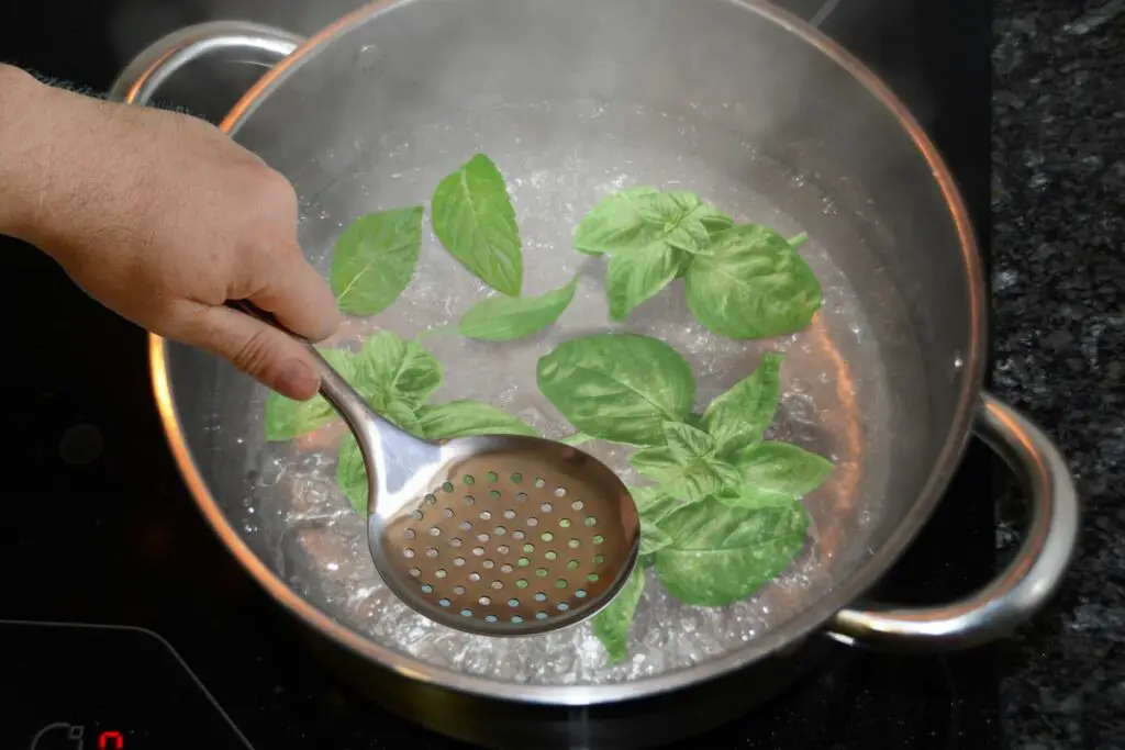 blanching basil leaves before freezing