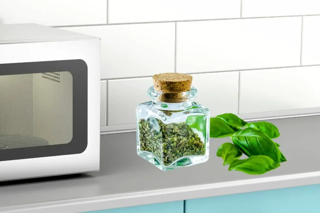 drying basil leaves in the microwave