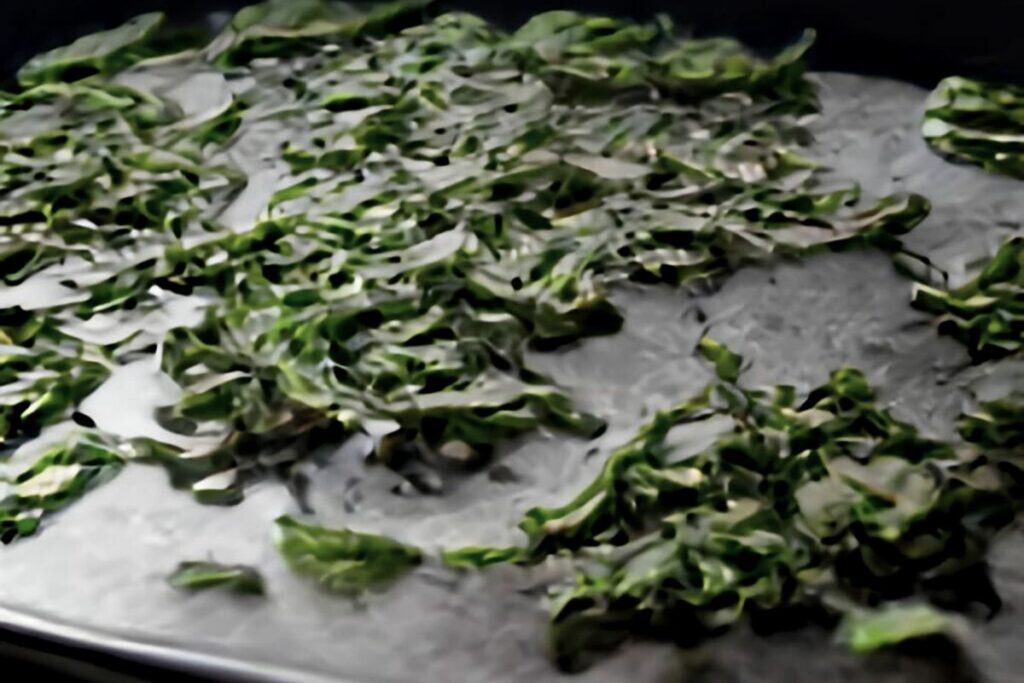 drying basil leaves in the oven