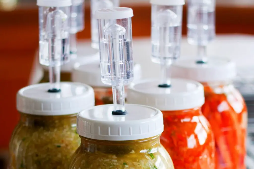 fermenting food 