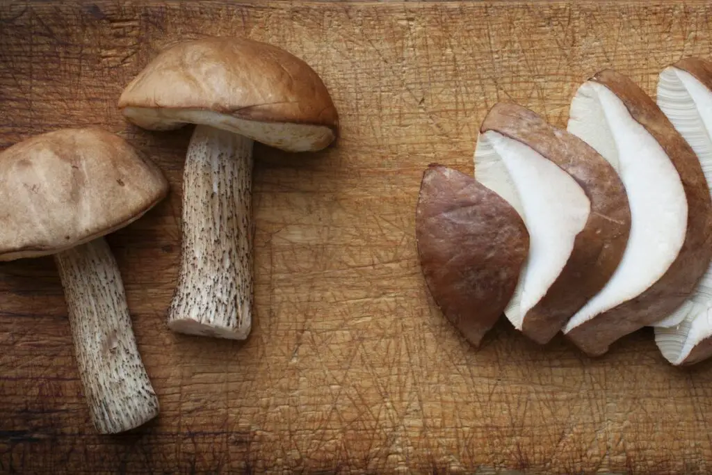 Using Boletes as pizza topping