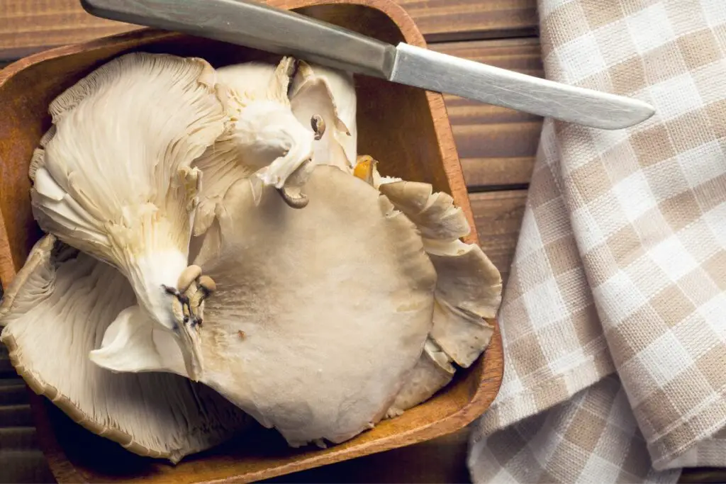 preparing Oyster mushrooms for pizza