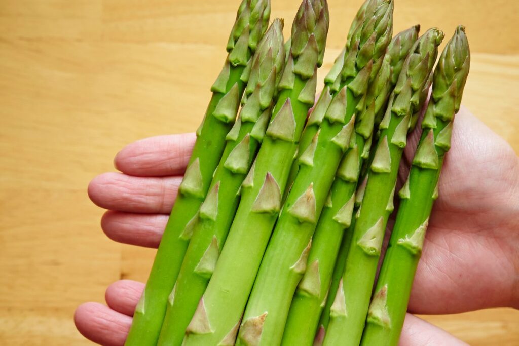 firm asparagus stalks