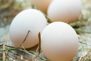 What Do Duck Eggs Taste Like? - Dare To Try!"