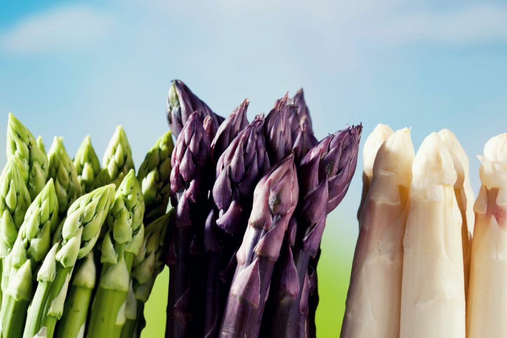 green white and purple asparagus
