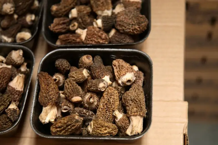 How To Prepare Mushrooms For Pizza? (Best And Worst Onse To Use)