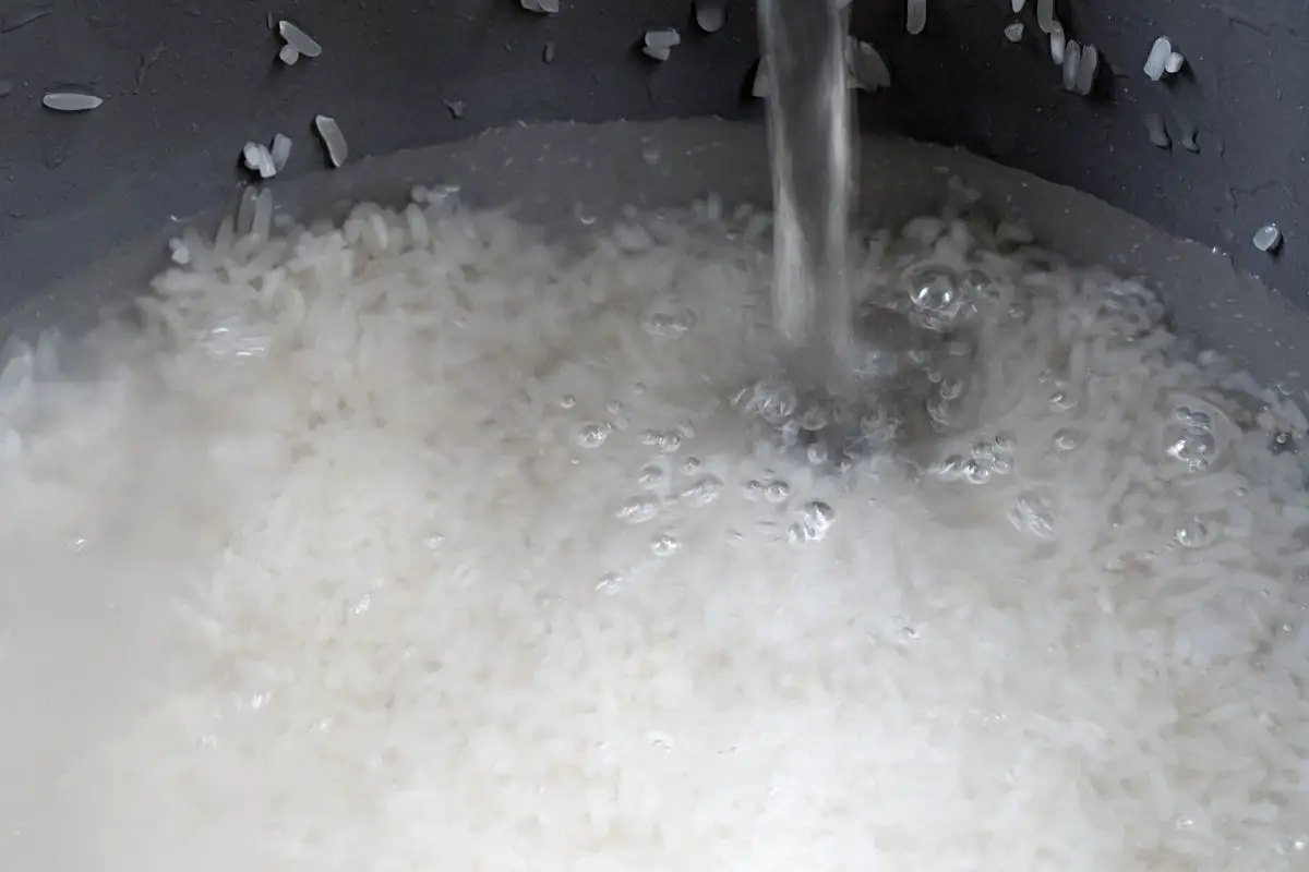 Rice Sticking To The Bottom Of The Rice Cooker? 7 Helpful Tips!