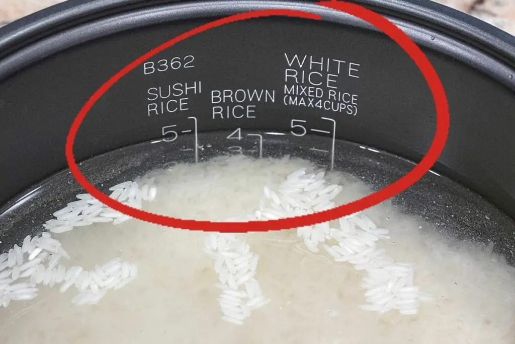 rice cooker water level