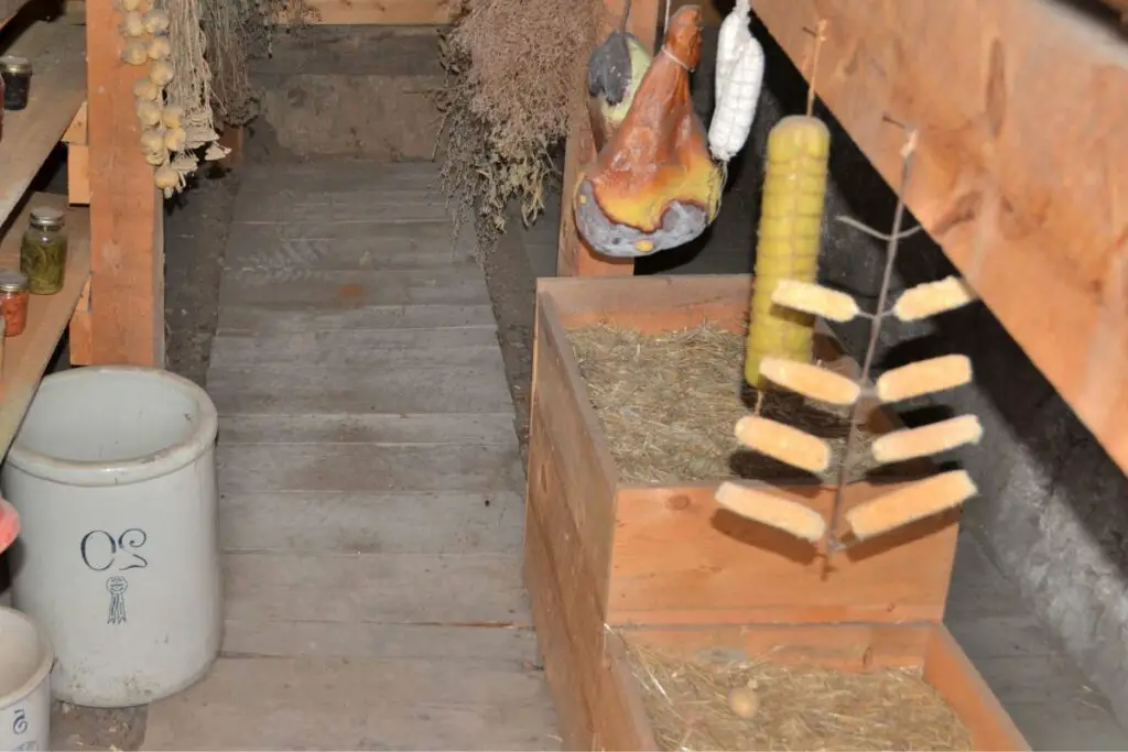 storing carrots in a root cellar