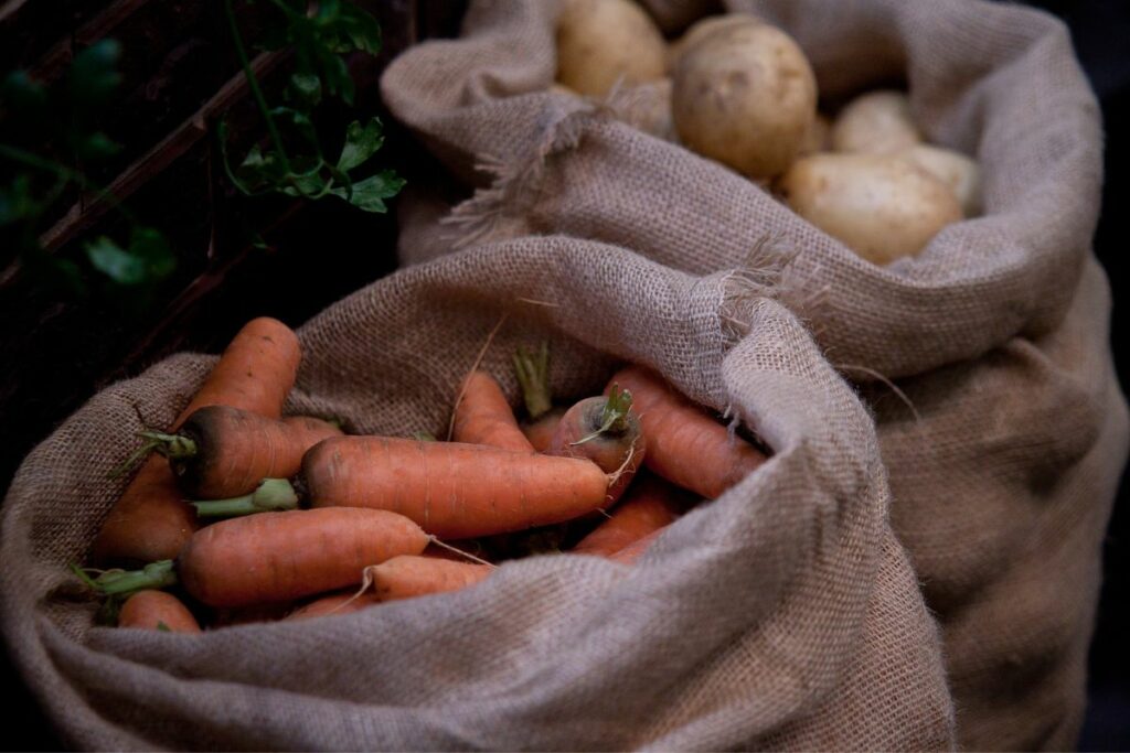 storing carrots in the vegetable sacks
