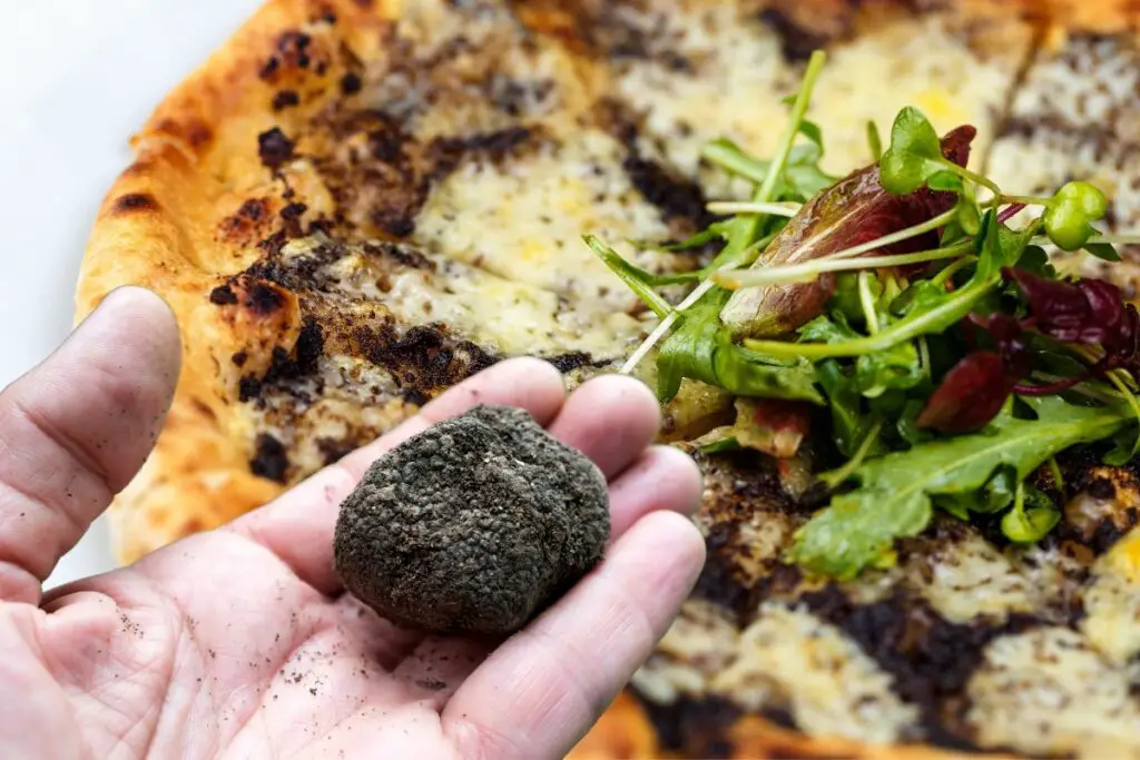 truffle pizza